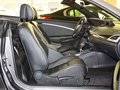 梅甘娜 梅甘娜CC 2.0 CVT 图片