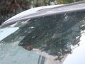 科雷傲（进口） 科雷傲 2.5 CVT 四驱豪华导航型 2012款图片