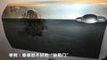 宝马5系 图片