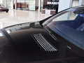 巴博斯 S系 5.5T 60S 2011款图片