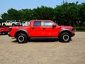 福特F150 2012款 SVT Raptor图片