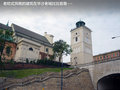 起亚Ceed 图片