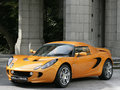 Elise 图片
