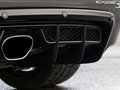 Exige 2012款 Exige s图片