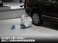 菲跃 2012款 菲跃图片