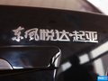 赛拉图 图片