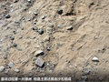 凱美瑞 圖片