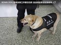 昊锐 图片