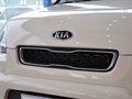 秀尔 秀尔 1.6L AT Premium 5座 2012款图片