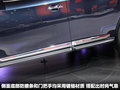 Pathfinder(进口) 图片