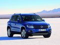 Tiguan 2012款 Tiguan图片