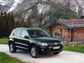 Tiguan 2012款 Tiguan图片