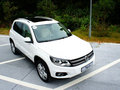 Tiguan 2012款 2.0 TSI 豪华型图片