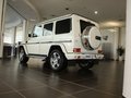奔馳G級AMG 2009款 G55 AMG圖片