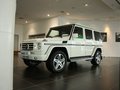 奔馳G級AMG 2009款 G55 AMG圖片