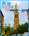 奔驰A级(进口) 图片