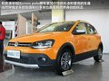 Polo 图片