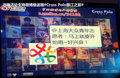 Polo 图片