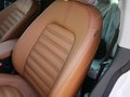大众CC 2012款 CC 2.0TSI DSG至尊型 图片