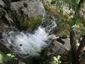 瑞虎 图片