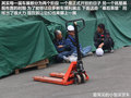 福克斯 图片
