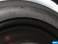 福克斯 图片