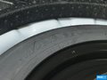 福克斯 图片