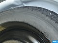 福克斯 图片