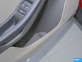 福克斯 图片