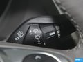 福克斯 图片