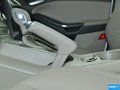 福克斯 图片