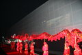 卡宴 图片