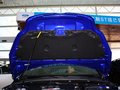 ?？怂梗ㄟM(jìn)口） 福克斯ST 2.0T MT 兩廂版 2013款圖片