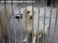 奥轩G5 图片