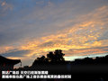 翼神 图片