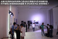 Gallardo 圖片