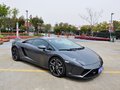 Gallardo 2012款 LP560-4图片