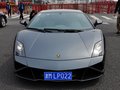 Gallardo 2012款 LP560-4图片