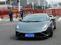 Gallardo 2012款 LP560-4图片