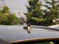 奥迪Q3(进口) 2012款 2.0T 运动型图片