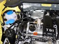 甲壳虫 甲壳虫 1.2TSI 时尚型 2013款图片