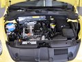 甲殼蟲 甲殼蟲 1.2TSI 時尚型 2013款圖片