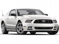 Mustang 2013款 野馬圖片