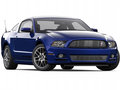 Mustang 2013款 野馬圖片