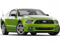 Mustang 2013款 野马图片