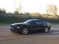 Mustang 2013款 野馬圖片