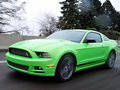 Mustang 2013款 野馬圖片