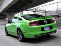 Mustang 2013款 野馬圖片