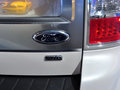 福莱克斯Flex Flex 基本型 2013款图片