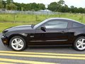 Mustang 2012款 野马 GT图片